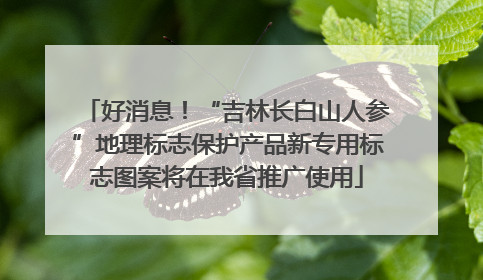 好消息！“吉林长白山人参”地理标志保护产品新专用标志图案将在我省推广使用